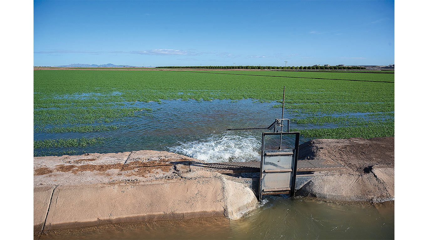 Irrigation water flows from a canal into a cultivated field under a clear blue sky.