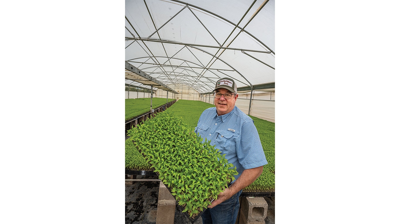Plant nursery worker holding a tray of young seedlings inside a greenhouse growing area.