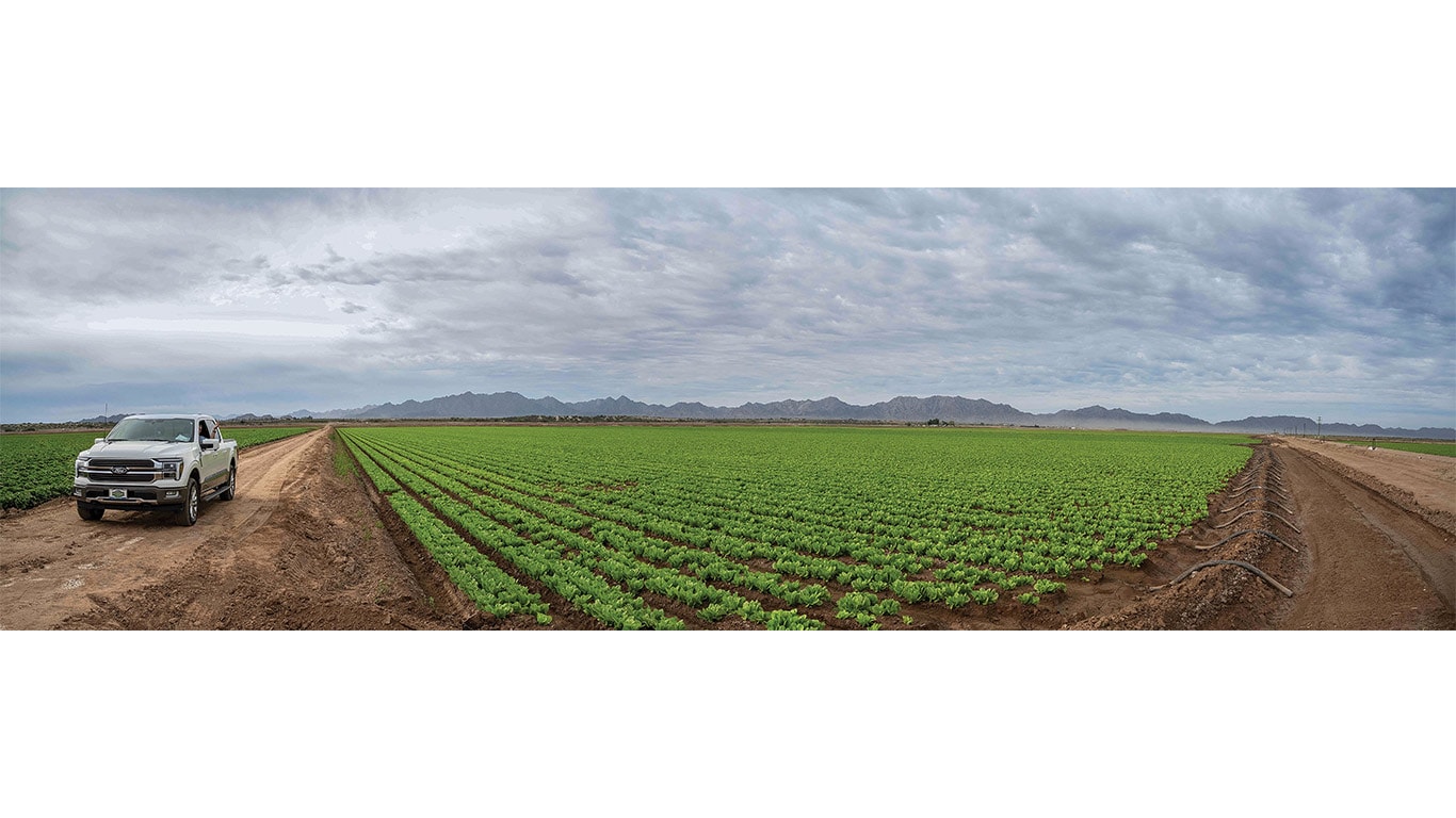 Agricultural field with crop rows, irrigation lines, and a pickup truck under cloudy skies.