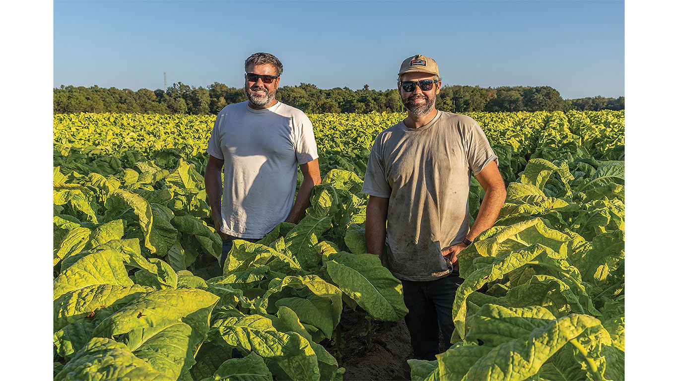 Two people standing among large leafy crops in a field with trees in the background.