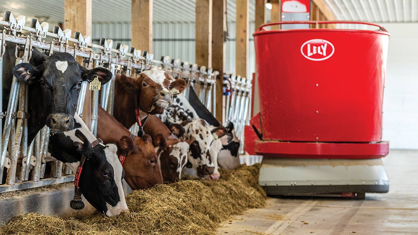 Cows eating feed in a barn beside a red Lely robotic feeder.