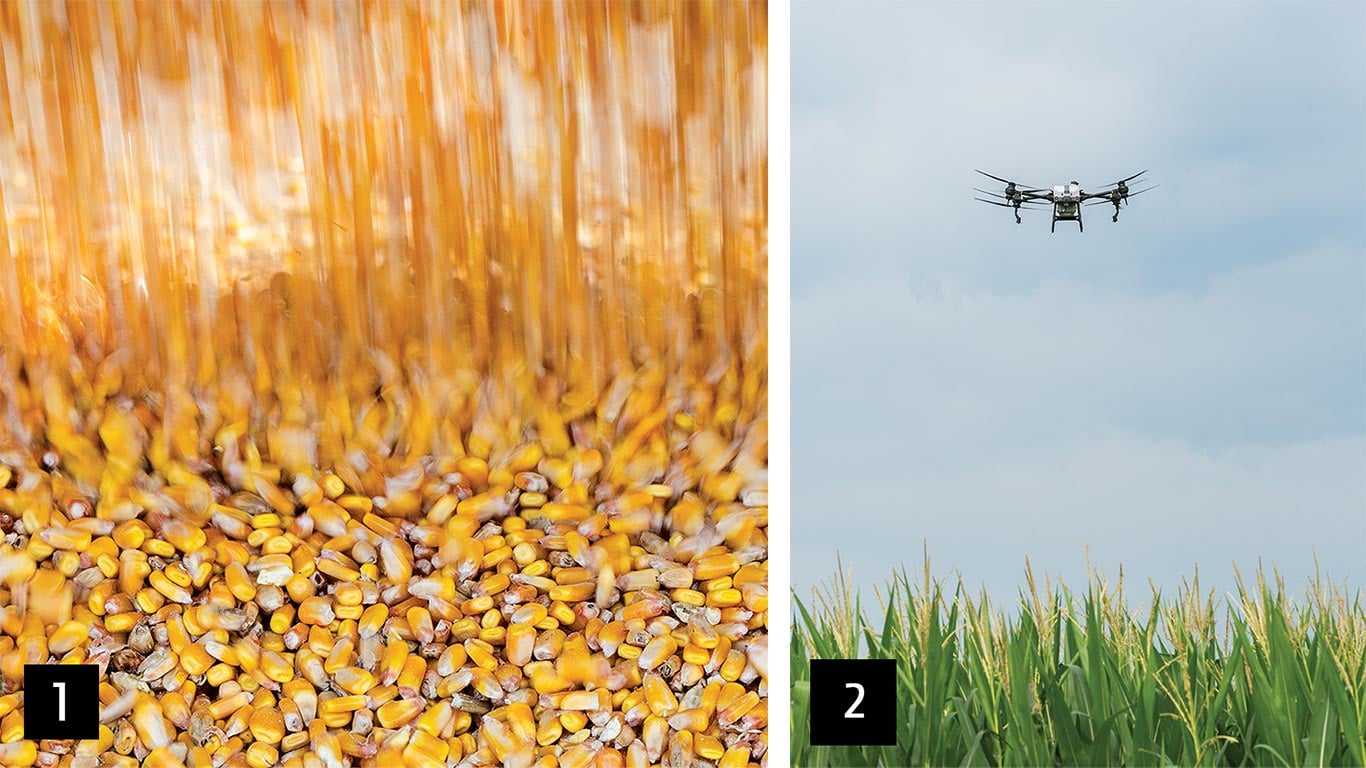 Falling corn kernels form a golden pile. A drone flies above a cornfield under a cloudy sky.