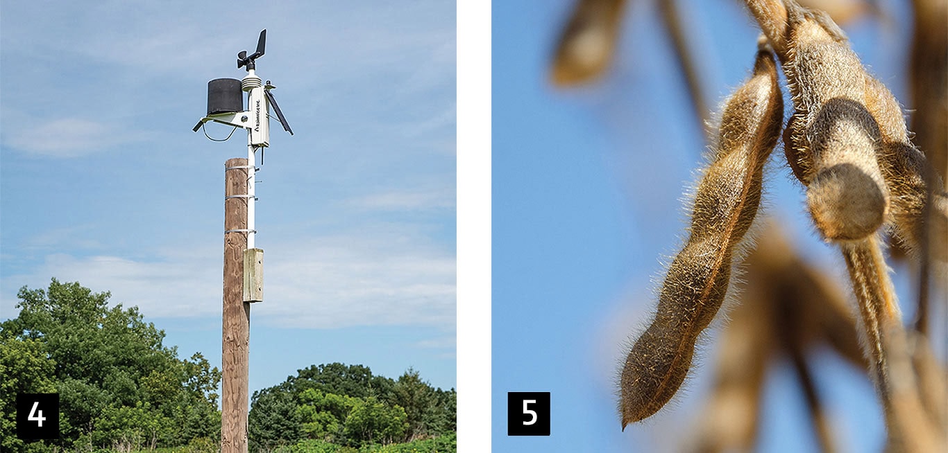 A weather station stands on a wooden pole against a clear sky with trees in the background. Close-up of fuzzy soybean pods hanging from a plant against a blue sky.