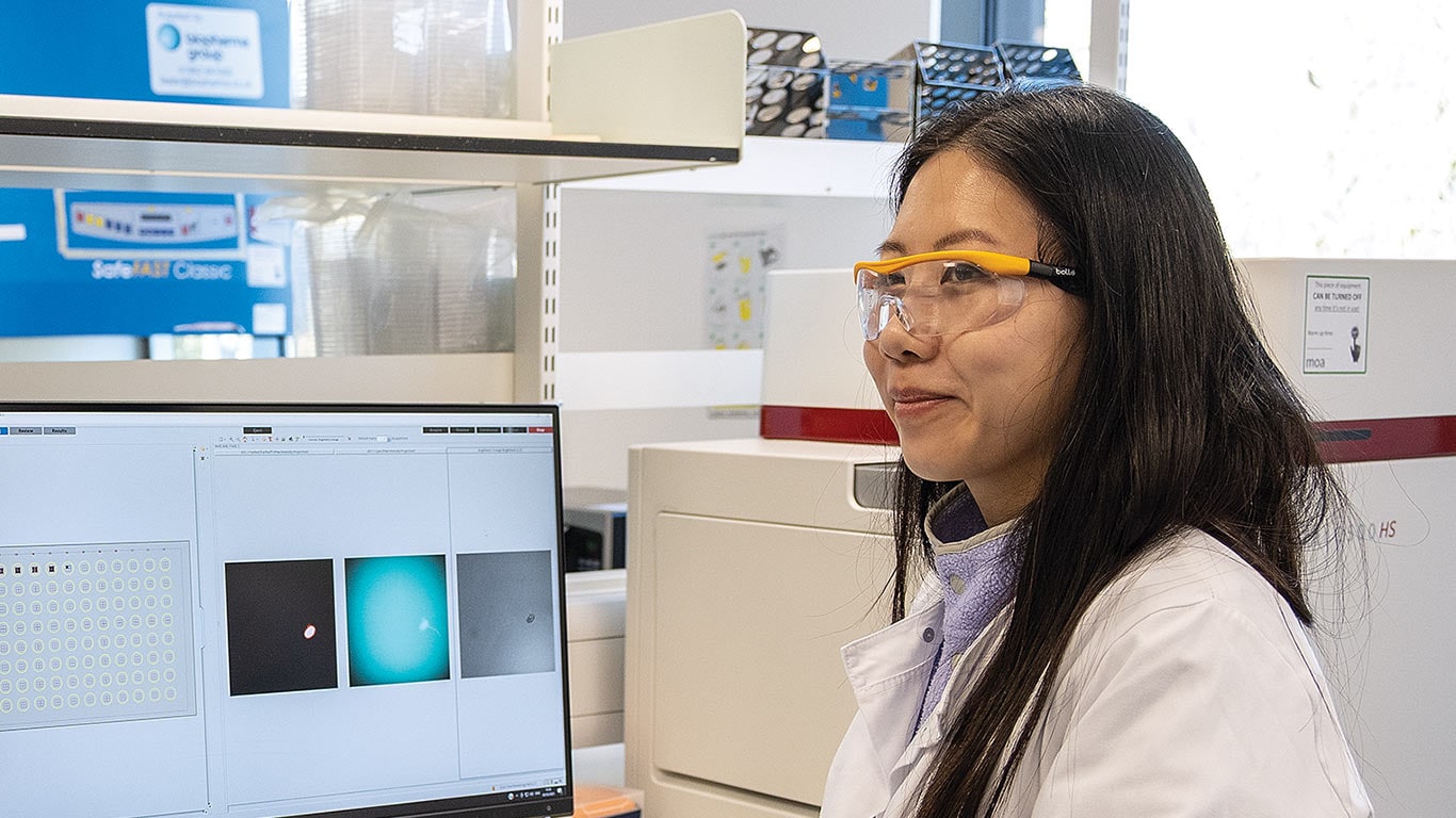 Lab technician reviewing scientific images on a computer monitor in a laboratory setting.