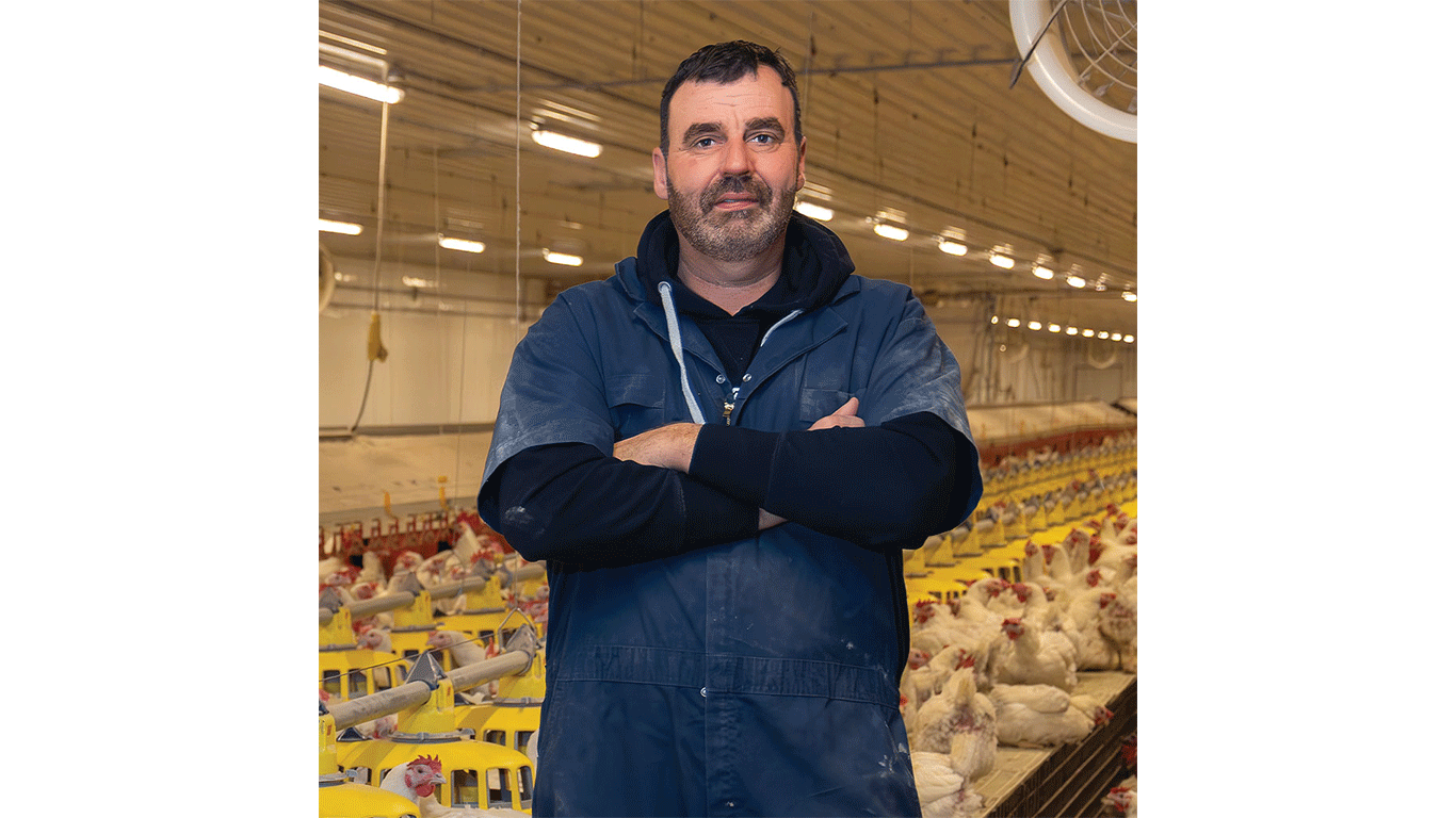Person in a blue coat standing inside a poultry barn with rows of chickens.