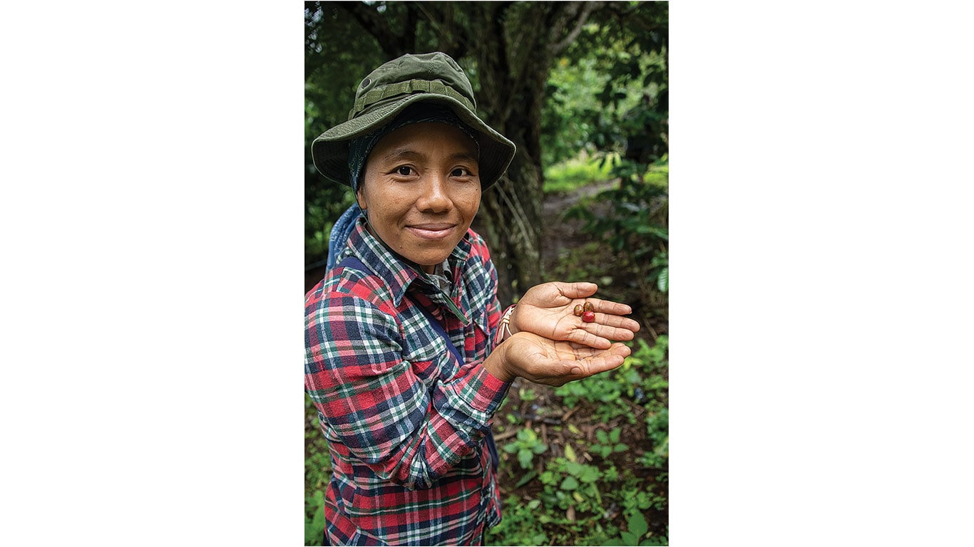 Person in a plaid shirt holding small red berries in both hands outdoors.
