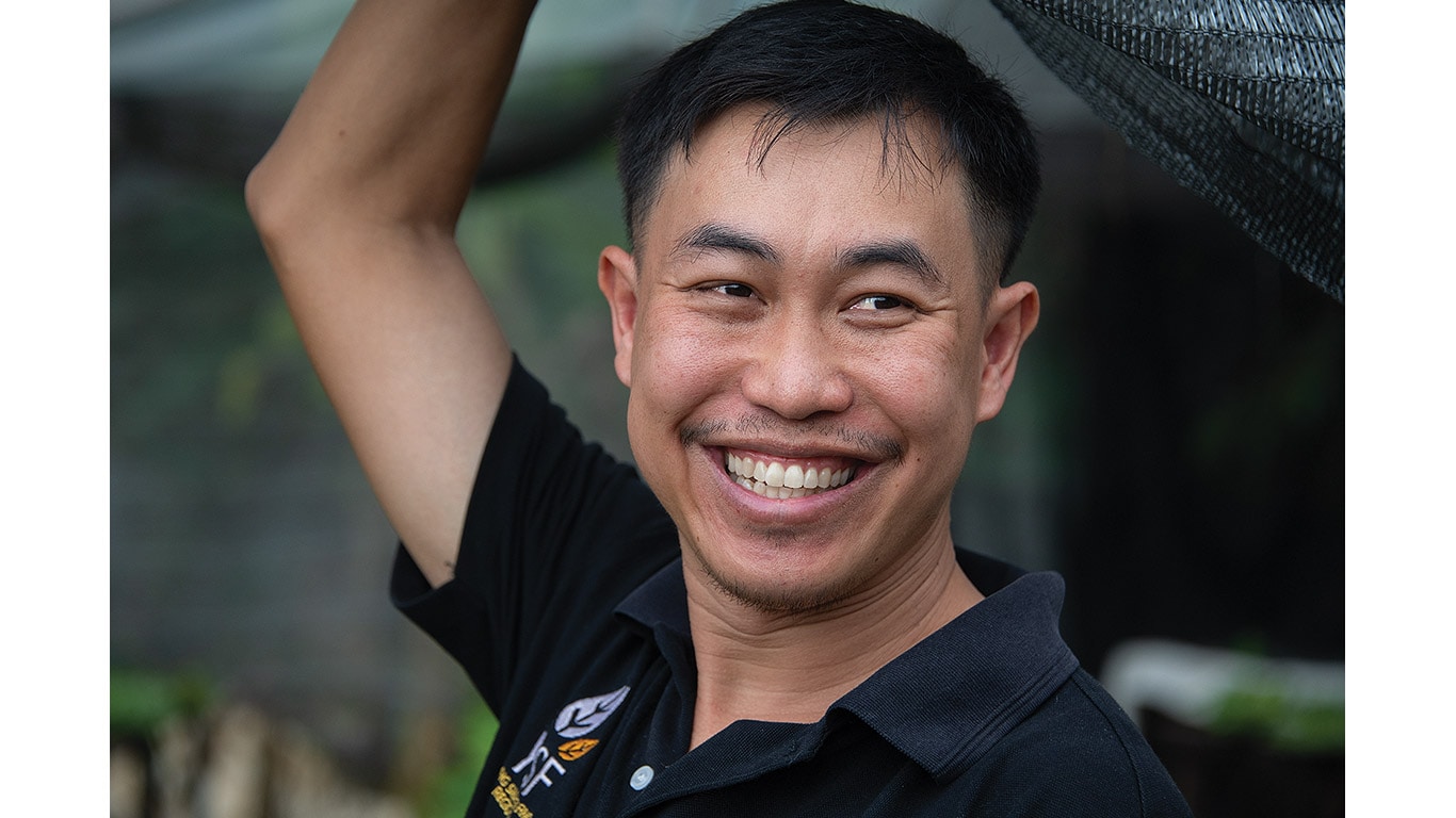 Person in a black polo shirt lifting a netted canopy in an outdoor setting.