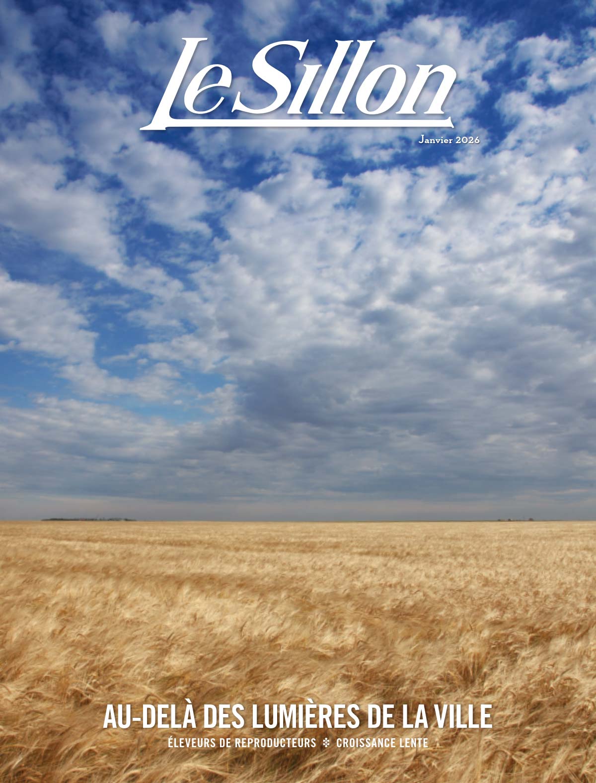 Champ de blé doré s'étendant à perte de vue sous un ciel partiellement nuageux, couverture du magazine Le Sillon.