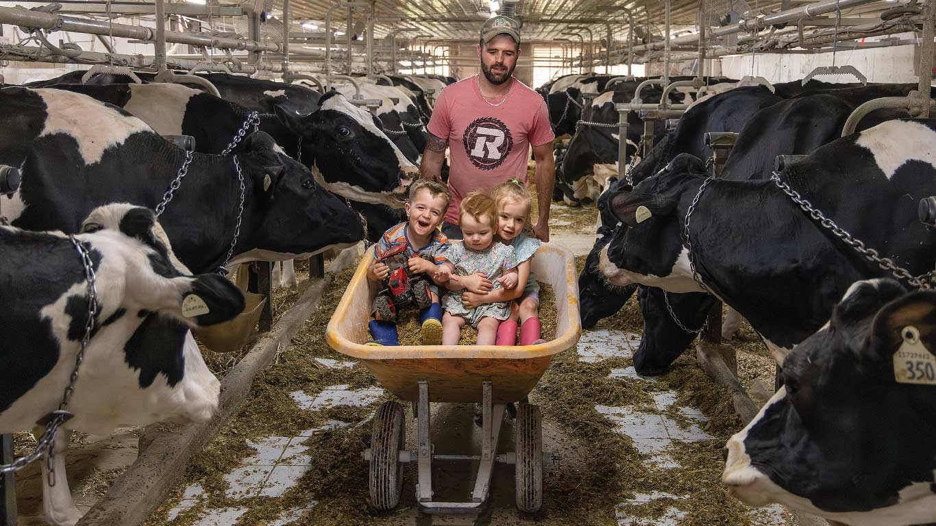 Person pushing a wheelbarrow with three children through a barn with dairy cows.