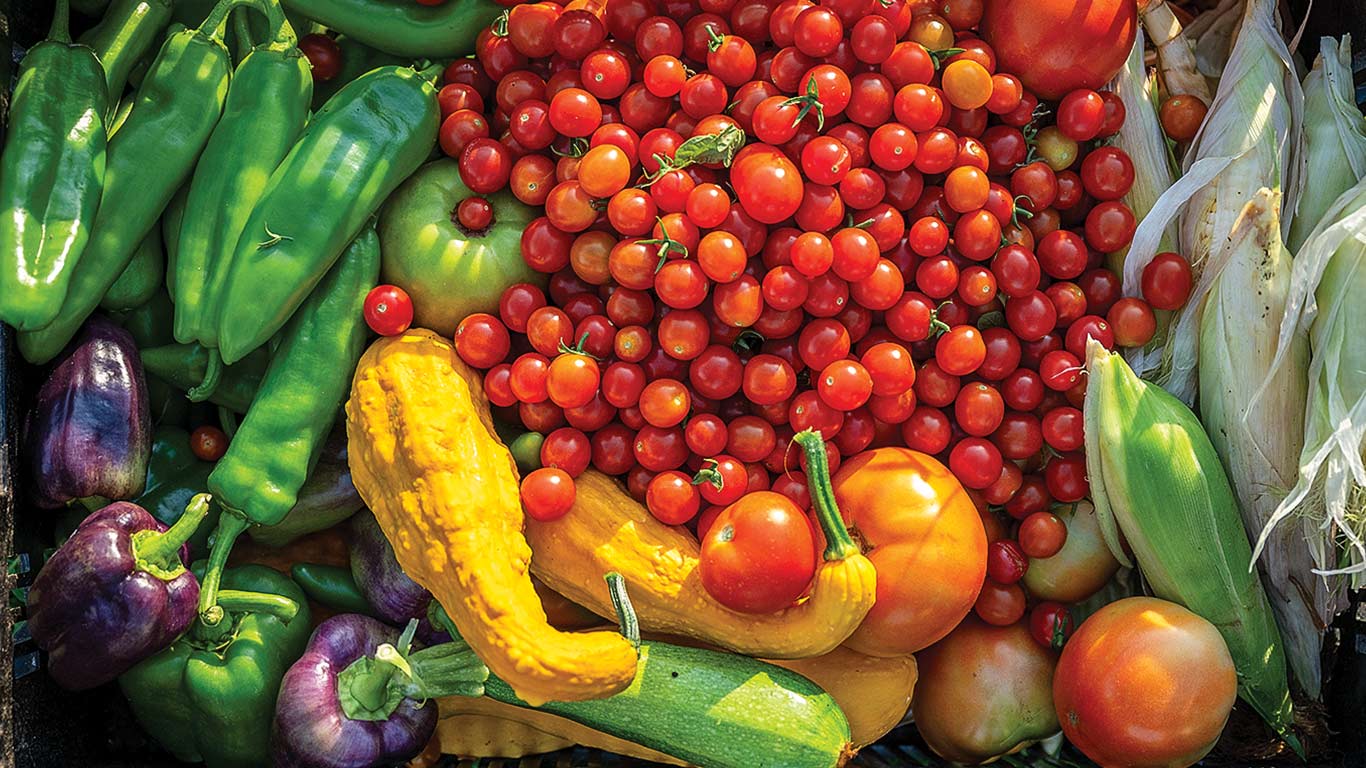 Fresh harvest of vegetables including tomatoes, peppers, squash, zucchini, and corn.