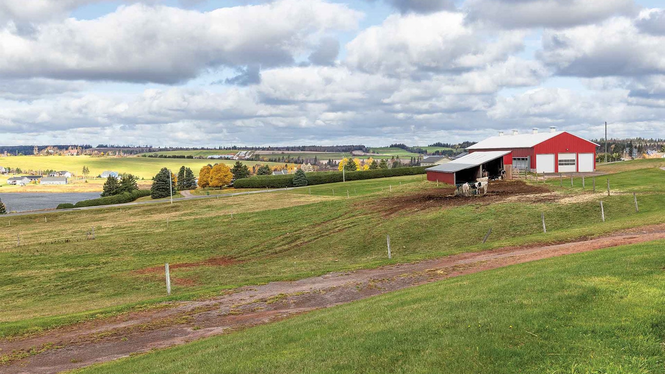 Panorama avec une grange rouge, des vaches qui paissent et des champs sous un ciel nuageux.