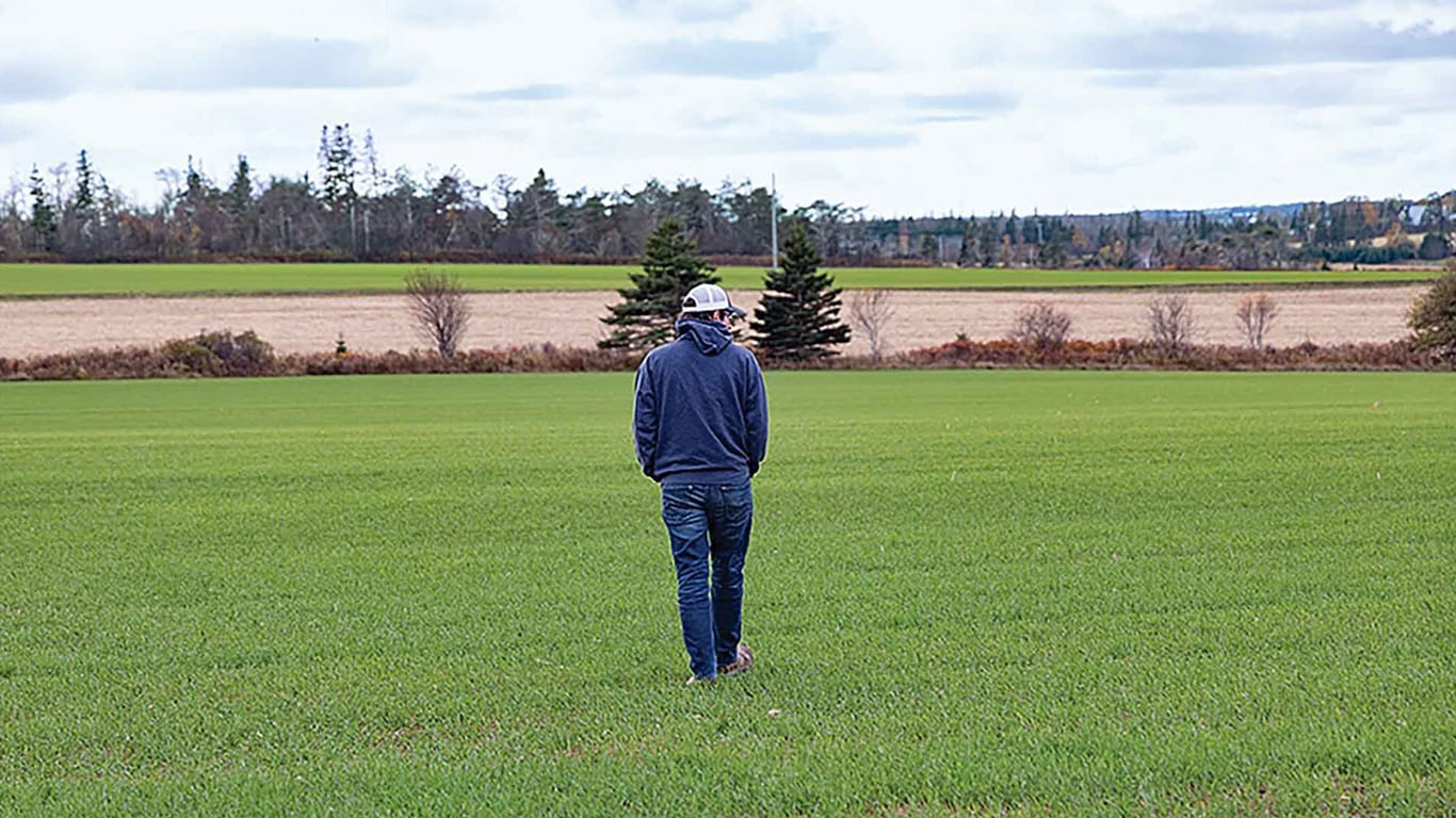 Personne marchant dans un champ de verdure vers des terres agricoles au loin.