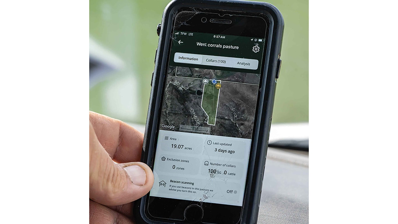 Groupe de moutons se tenant près les uns des autres dans un pâturage.