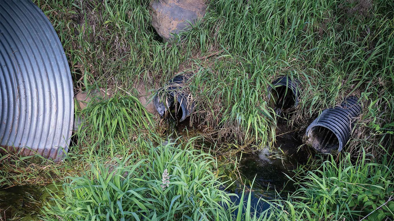 Plusieurs tuyaux de drainage sur la berge herbeuse d'un petit cours d'eau.