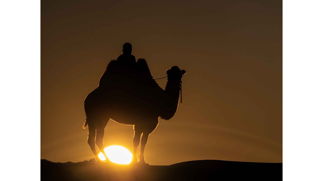 Silhouette of a rider on a camel at sunset.