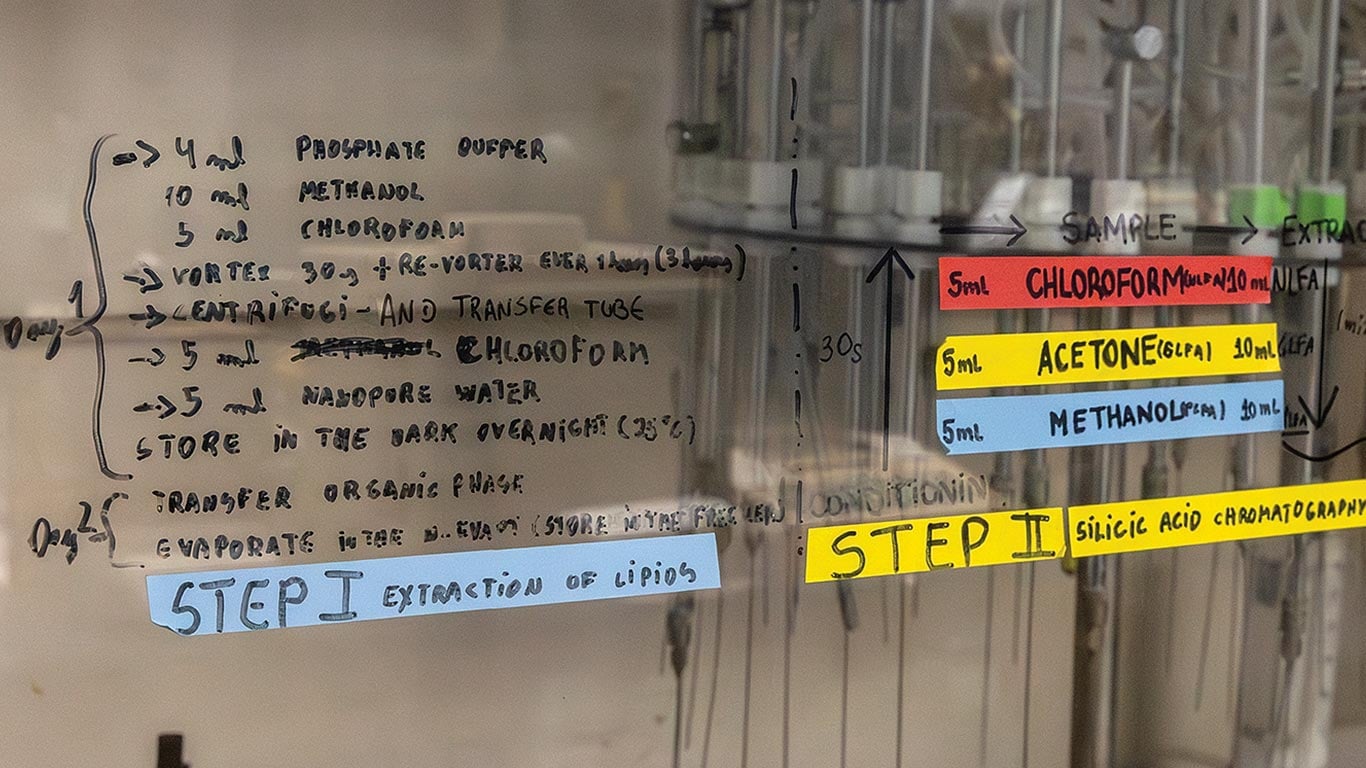 Échantillons de test fongique dans des tubes avec des notes de laboratoire écrites derrière.