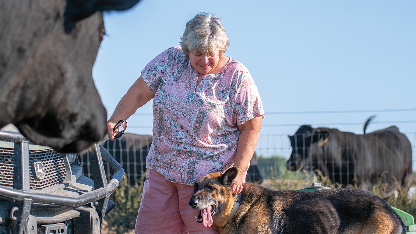 Person stands beside utility vehicle and pets a German shepherd near cattle in pasture.