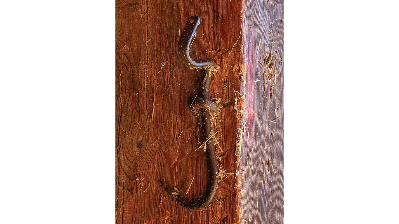Close-up of a metal hook mounted on a wooden wall.