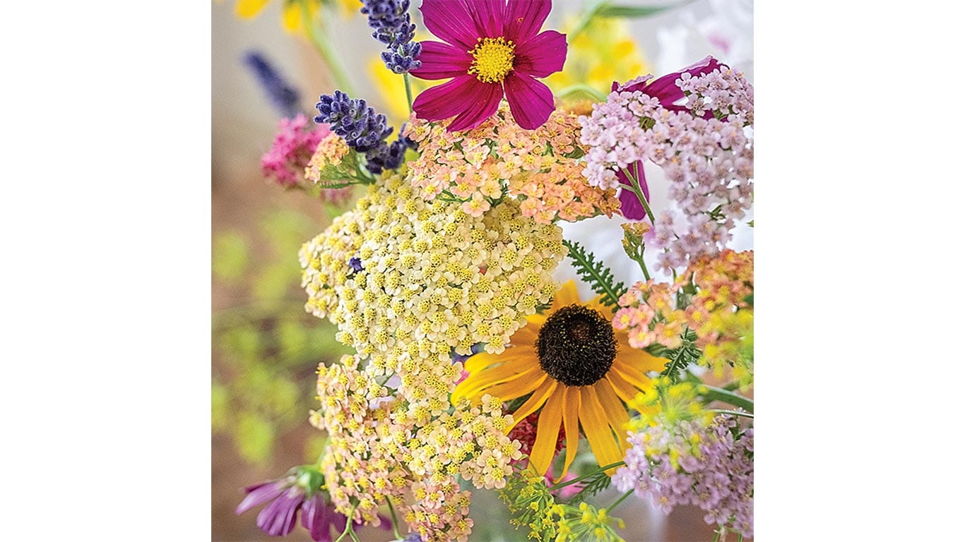 Colorful bouquet of assorted flowers, including yellow and purple blooms.