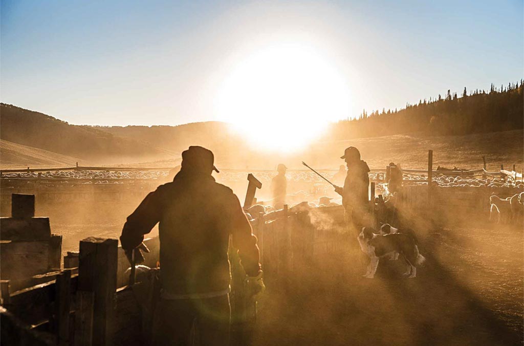 People working on farm with dust in air