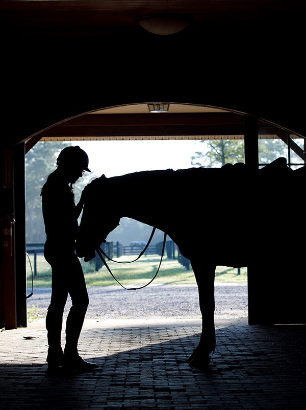 Silhouette d'une personne aux côtés d'un cheval dans une grange