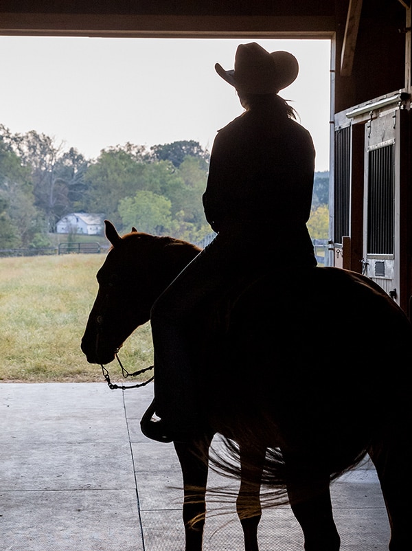 Silhouette of person on horse in barn