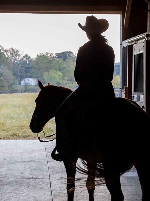 Silhouette d'une personne à cheval dans une grange